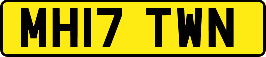 MH17TWN