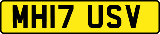 MH17USV