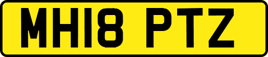 MH18PTZ