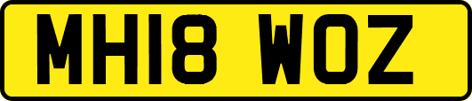 MH18WOZ