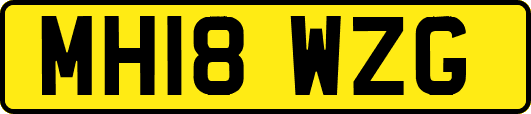 MH18WZG