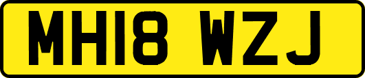 MH18WZJ