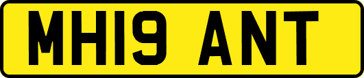 MH19ANT