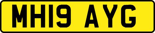 MH19AYG