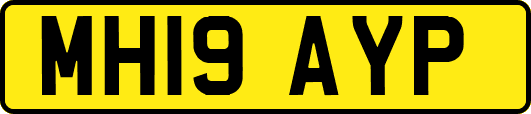 MH19AYP