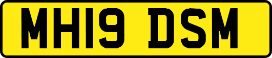 MH19DSM