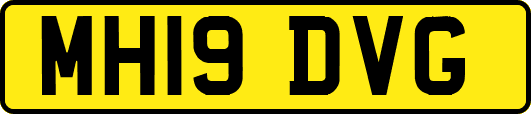 MH19DVG