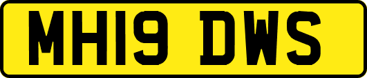 MH19DWS