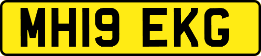 MH19EKG