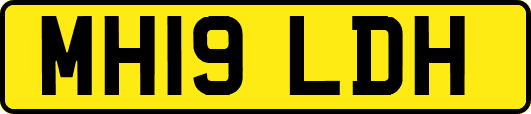 MH19LDH