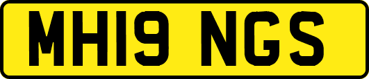 MH19NGS