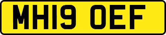 MH19OEF