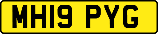 MH19PYG