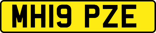 MH19PZE