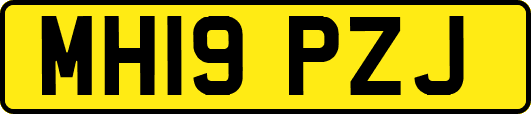 MH19PZJ