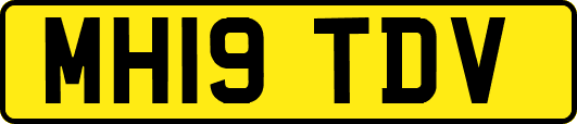MH19TDV