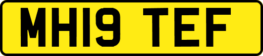 MH19TEF