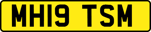 MH19TSM