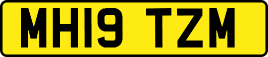 MH19TZM