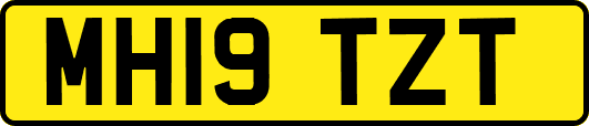 MH19TZT