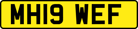 MH19WEF