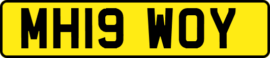 MH19WOY