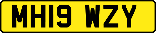 MH19WZY