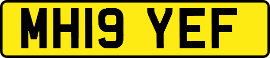 MH19YEF