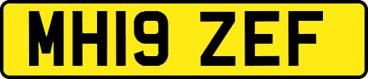 MH19ZEF