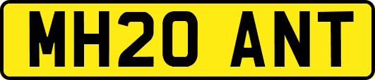 MH20ANT