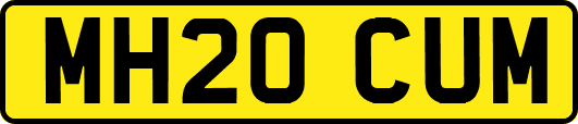 MH20CUM