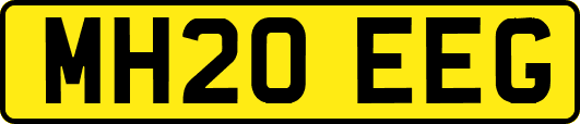 MH20EEG