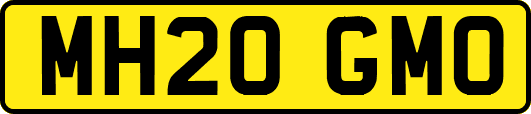 MH20GMO
