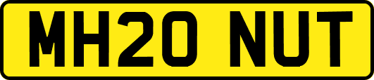 MH20NUT