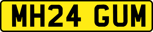 MH24GUM