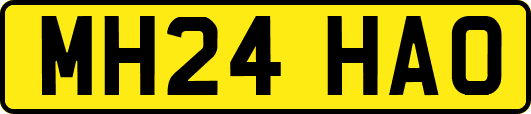 MH24HAO
