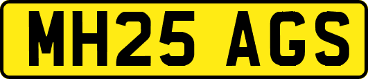 MH25AGS