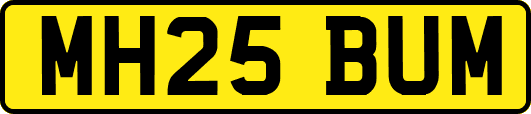 MH25BUM