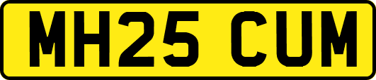 MH25CUM