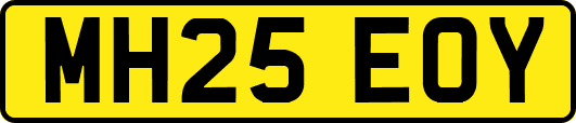 MH25EOY