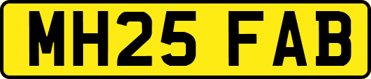 MH25FAB