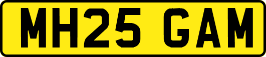 MH25GAM