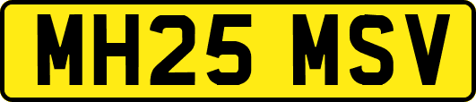 MH25MSV