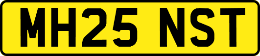 MH25NST
