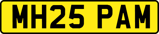 MH25PAM