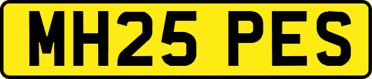 MH25PES