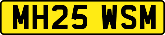MH25WSM
