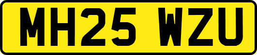 MH25WZU
