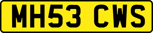 MH53CWS
