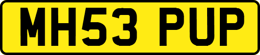 MH53PUP